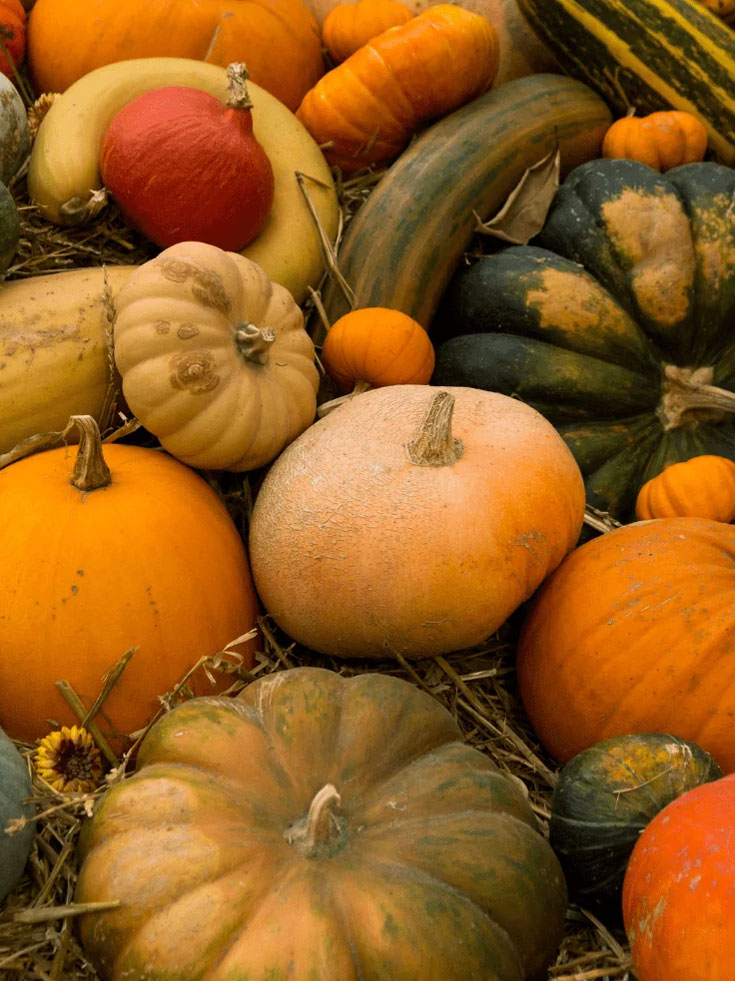 Handpicked