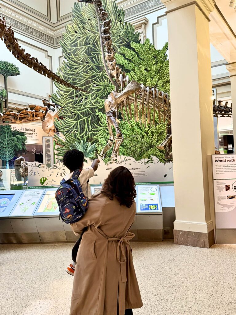Wonders of the Smithsonian National Museum of Natural History